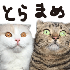 [LINEスタンプ] 寅と豆。 