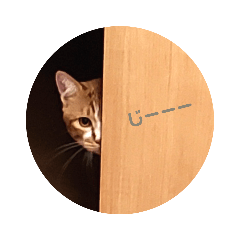 [LINEスタンプ] わが輩は『まる』である！ 