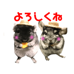 [LINEスタンプ] チンチラの茶々丸大吉2 