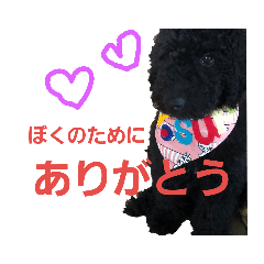 [LINEスタンプ] いぬのスタンプだよ2