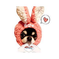[LINEスタンプ] ヨナと愉快な仲間たチワワ  ③