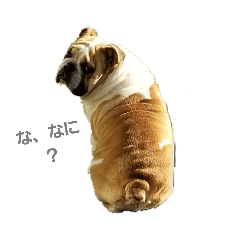[LINEスタンプ] ぶるぶるず 