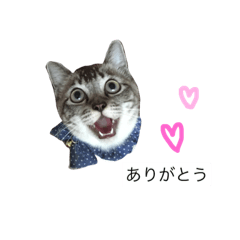 [LINEスタンプ] ボビー姉さん 