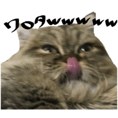 [LINEスタンプ] モカとマチルダ