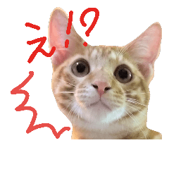 [LINEスタンプ] わさちくスタンプ 1巻 