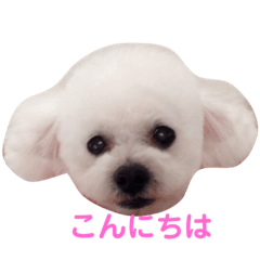 [LINEスタンプ] I LOVE モッチャン 