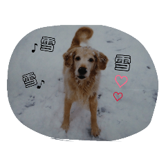 [LINEスタンプ] みんな集まれ～