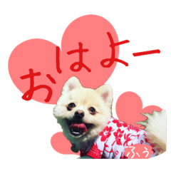 [LINEスタンプ] ポメ仲良し3兄弟てんじろふぅくん