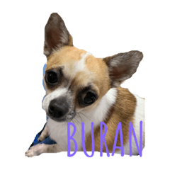 [LINEスタンプ] プランタン 