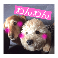 [LINEスタンプ] 我が家の犬、ロンくんとパトくん② 