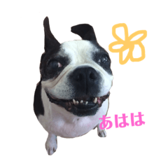 [LINEスタンプ] ボステリ☆ジル 