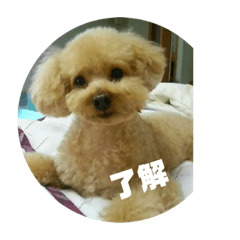 [LINEスタンプ] マロココ 