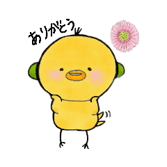 [LINEスタンプ] ピヨヨ 1 