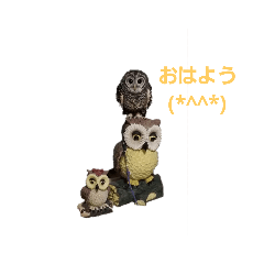 [LINEスタンプ] 【フクロウ】しーちゃん＆ラッピーちゃん 