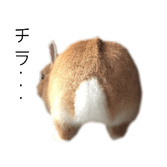 [LINEスタンプ] 桃尻桃ほっぺの桃様
