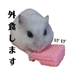 [LINEスタンプ] 豆子ちゃんの使えそうなスタンプ