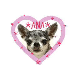 [LINEスタンプ] アナ＊ 