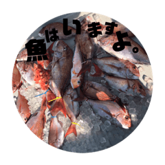 [LINEスタンプ] 船長スタンプ 