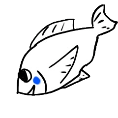 [LINEスタンプ] 水の生き物スタンプ