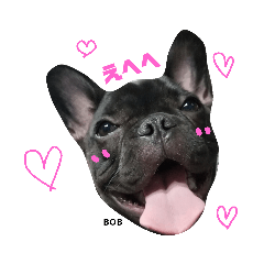 [LINEスタンプ] フレンチブルドッグのボブです♥️