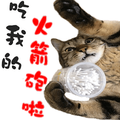 [LINEスタンプ] Tazukiの毎日のルーチン fetchpriority=high