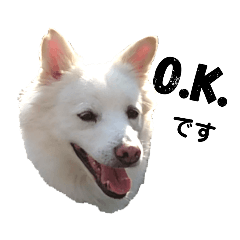 あいさつわんこ4
ちょっとていねい