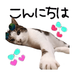 [LINEスタンプ] ちーまーきー 