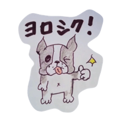 [LINEスタンプ] ボストンテリアのイラストスタンプ！