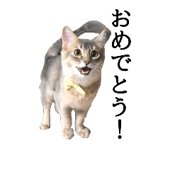 [LINEスタンプ] ふにスタンプ！3