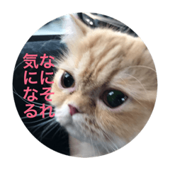 [LINEスタンプ] tomomiosawa fetchpriority=high