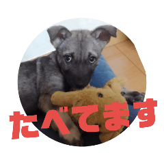 [LINEスタンプ] 犬なのにウルフ
