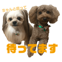 [LINEスタンプ] ざらちゃんぽん03