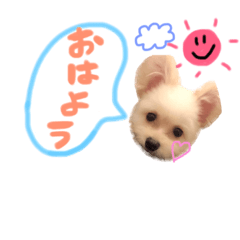 [LINEスタンプ] おハクさん( ・∇・) 
