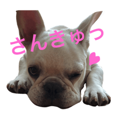 [LINEスタンプ] だいずとくろず② 