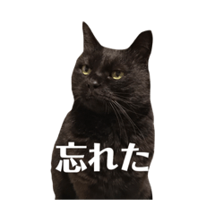 [LINEスタンプ] 簡単に済ませるくろねこ
