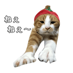 [LINEスタンプ] 田中そら 