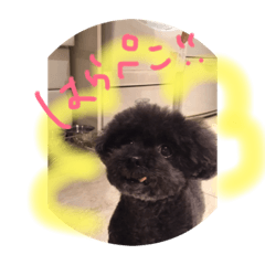 [LINEスタンプ] うーちゃんすたんぷができたよ！ 