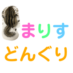 [LINEスタンプ] シマリス どんぐり 特別版