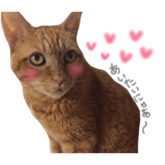 [LINEスタンプ] ポッキーฅˆ•ﻌ•ˆฅ