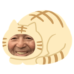 [LINEスタンプ] 迫の内のスタンプ