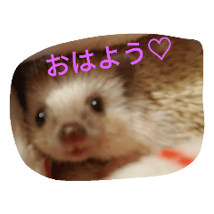 [LINEスタンプ] なもあめ 
