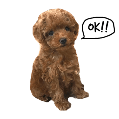 [LINEスタンプ] ララ キキ のん ミルキー チーコ 