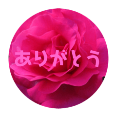 [LINEスタンプ] ローズの香り 
