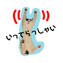 [LINEスタンプ] レオしゅうくま2 