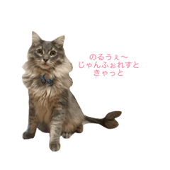 [LINEスタンプ] しじくん。1歳