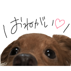 [LINEスタンプ] ちわぷーらいくん 