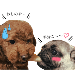 [LINEスタンプ] しゃくうたスタンプ 