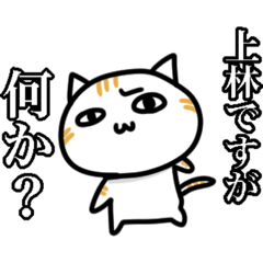 [LINEスタンプ] 上林さん用猫スタンプ
