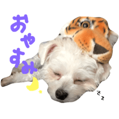 [LINEスタンプ] わんこ3兄弟 ゆるーい