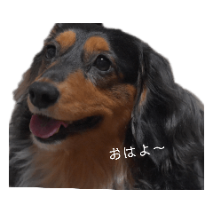 [LINEスタンプ] 使いやすさを追求したただ一つのスタンプ 